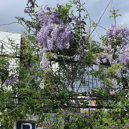 Granma Butik&apart 3* Bodrum