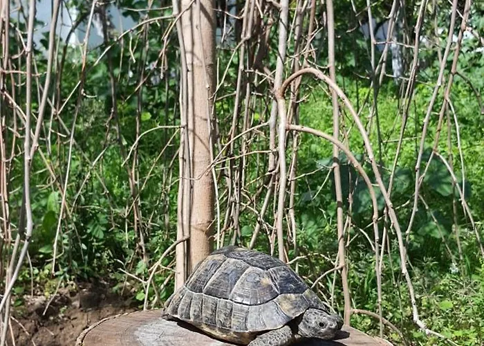 Hotel de apartamente Granma