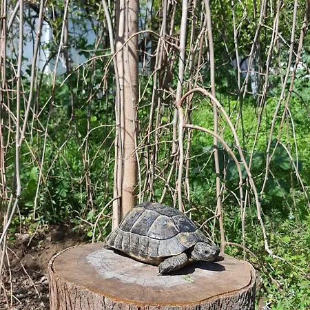 Апарт-отель Granma Butik&apart